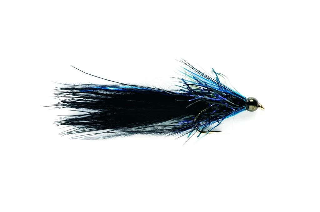 SR BLACK & BLUE TADDY 3 SR BLACK & BLUE TADDY