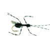 Bill´s Black Flying Ant 1 Bill´s Black Flying Ant -Angelexperte 1722xx