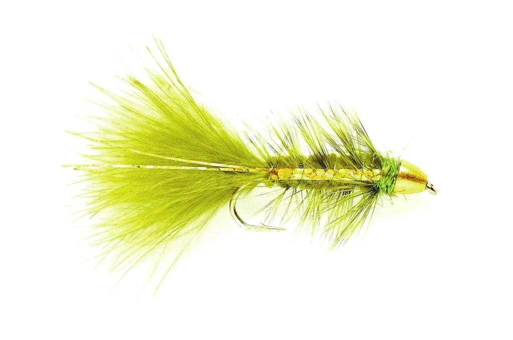 Golden Bullet Olive Flash 3 Golden Bullet Olive Flash