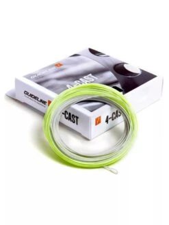 Guideline 4-Cast WF F/S5