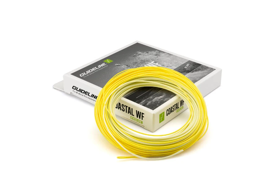 Guideline Coastal Evolve WF Floating Fliegenschnur 3 Guideline Coastal Evolve WF Floating Fliegenschnur