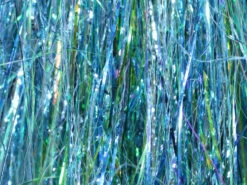 Frödin SSS Flash -Angelexperte SSSFLA 03 1024x 5e37b7f5 ec63 4ff6 a102 9996e2d0b0fd