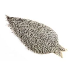 Whiting Coq De Leon Cape -Angelexperte Whiting 20 20Coq 20de 20leon 20Grizzly