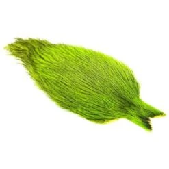 Whiting Coq De Leon Cape -Angelexperte Whiting 20rooster 20 20Coq 20de 20leon 20Badger 20 20Chartreuse