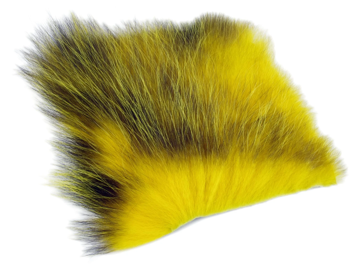 Future Fly American Opossum 4 Future Fly American Opossum – Bild 2