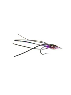 Baby Squid Black & Purple