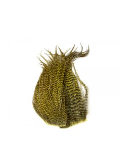 Whiting Bugger Pack -Angelexperte bugger pack grizzly dark olive