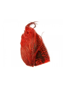 Whiting Bugger Pack -Angelexperte bugger pack grizzly red