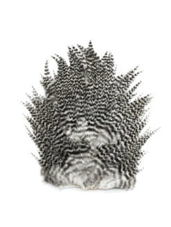 Feathermaster 4B Rooster Saddle -Angelexperte frathermaster saddle grizzly