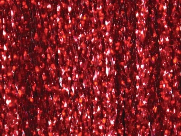 Frödin Flies SSS Holo Braid 10 Frödin Flies SSS Holo Braid – Bild 8