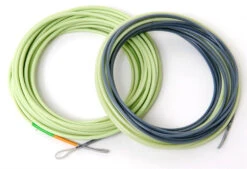 Guideline 4D Compact Body