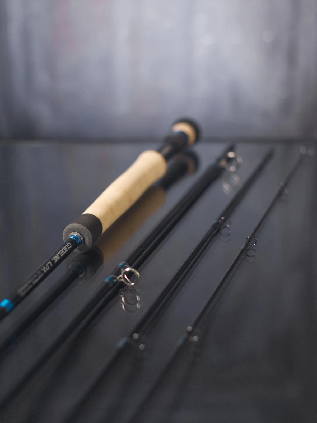 Guideline LPX Coastal Fliegenrute 4 Guideline LPX Coastal Fliegenrute – Bild 2