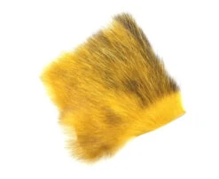 Future Fly American Opossum 29 Future Fly American Opossum -Angelexperte honey gold 1