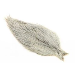 Whiting Coq De Leon Cape -Angelexperte img 0054 6