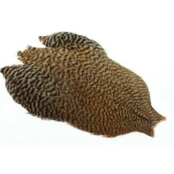 Whiting Freshwater Streamer Cape -Angelexperte img 3720