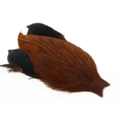 Whiting Freshwater Streamer Cape -Angelexperte img 3725