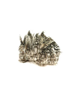 Wapsi Barred Neck Hackle -Angelexperte neck hackle barred natural