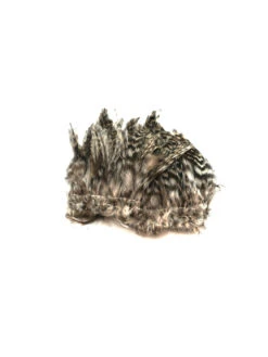 Wapsi Barred Neck Hackle -Angelexperte neck hackle barred tan