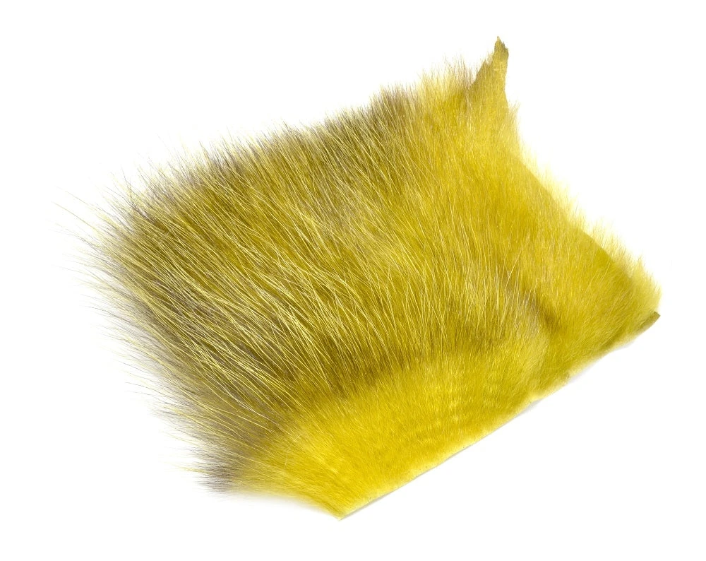 Future Fly American Opossum 12 Future Fly American Opossum – Bild 10