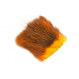 Future Fly American Opossum 13 Future Fly American Opossum – Bild 11