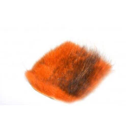 Future Fly American Opossum 36 Future Fly American Opossum -Angelexperte op ginger 1