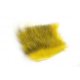 Future Fly American Opossum 19 Future Fly American Opossum – Bild 17