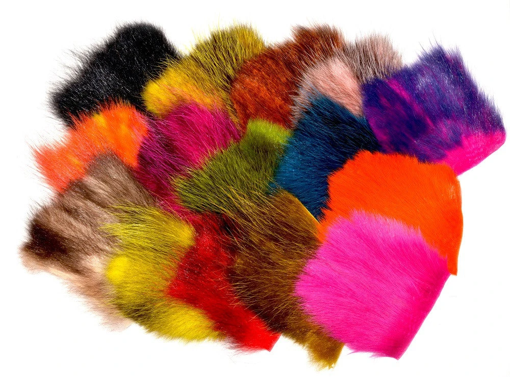 Future Fly American Opossum 3 Future Fly American Opossum