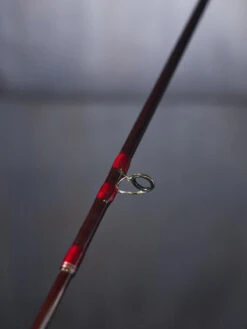 Sage Igniter Fliegenrute -Angelexperte sage igniter 3 17300