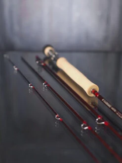 Sage Igniter Fliegenrute -Angelexperte sage igniter 4 54099