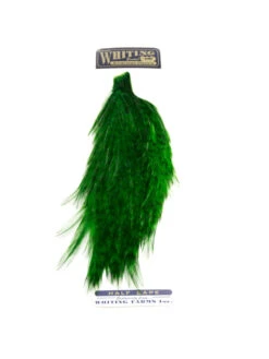 Whiting 1/2 Rooster Cape -Angelexperte whiting half cape grizzly green