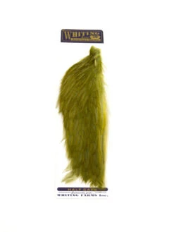 Whiting 1/2 Rooster Cape -Angelexperte whiting half cape olive