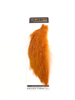 Whiting 1/2 Rooster Cape -Angelexperte whiting half cape orange