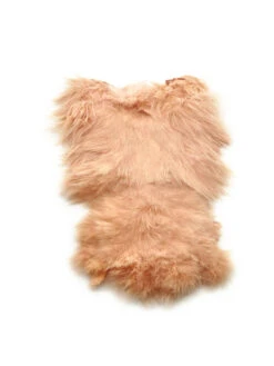 Whiting Spey Soft Hackle With Chickabou -Angelexperte whiting spey soft hackle with chickabou salmon