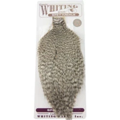 Whiting Spey Rooster Capes Bronze Grade -Angelexperte whiting speyhackle rooster grizzly 2